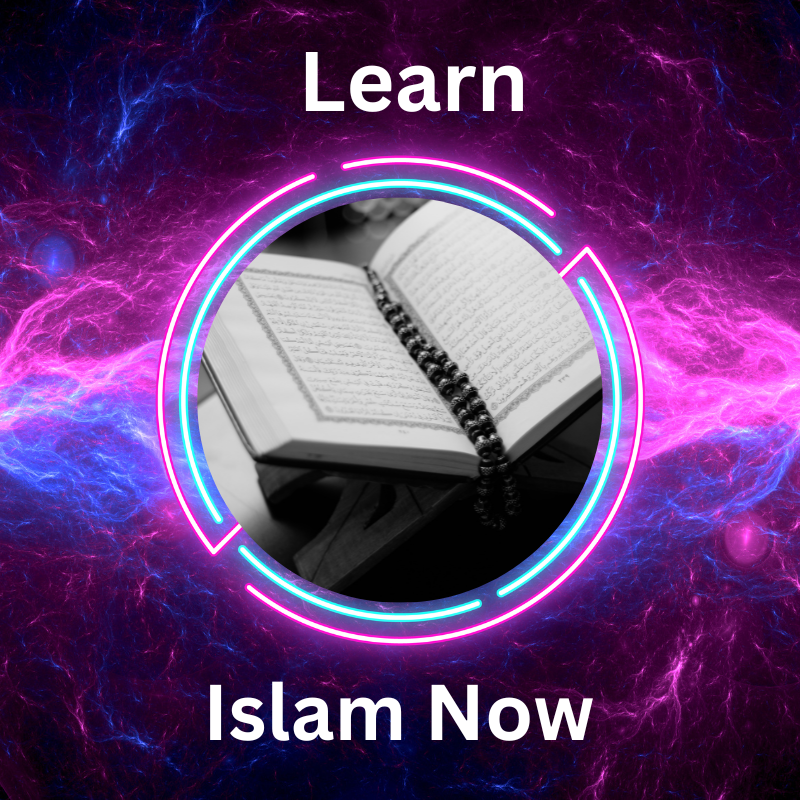 Discover the Light of Truth | Learn Islam Now